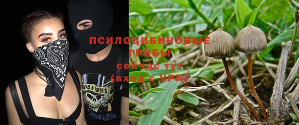 скорость Алексеевка