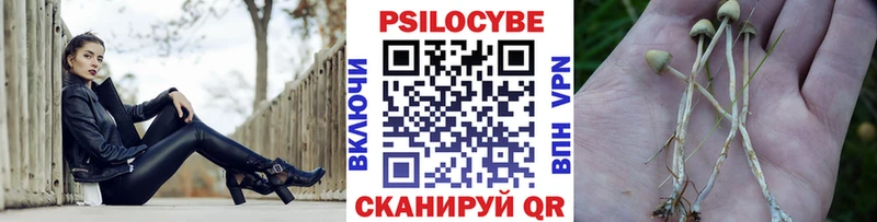 дарк нет как зайти  Хвалынск  Галлюциногенные грибы Psilocybine cubensis  блэк спрут зеркало 